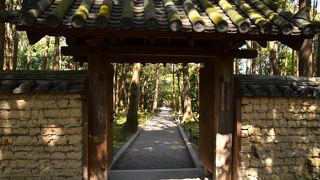 苔に覆われた所にある御廟