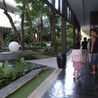 中庭になるのかな・・・