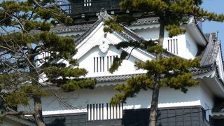 天下を取った家康公誕生のお城、意外に小さい