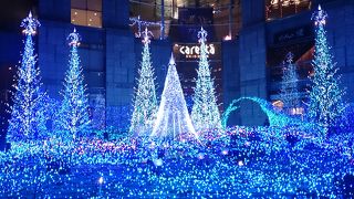 イルミネーションが綺麗！