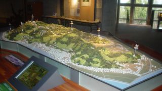 冬はちょっときびしい