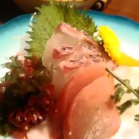 刺身はとても新鮮で美味しかった