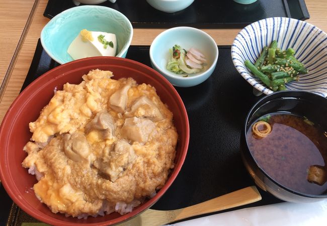 景色良いランチ