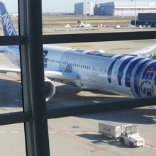 なんと、スターウォーズ仕様でした。最新鋭の787-9です。