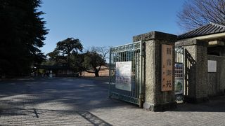 都心に溢れる緑