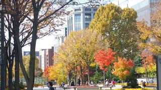 紅葉はあまり無かったです。