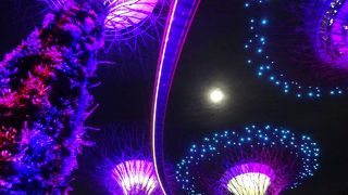 これぞ非現実、夢の世界に浸りましょう！