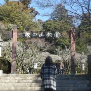 広い成田山新勝寺の境内の奥に整備された広い公園
