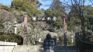 広い成田山新勝寺の境内の奥に整備された広い公園