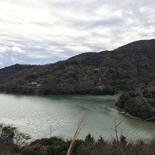 ミカン畑の斜面から