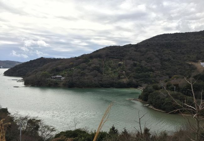 鹿が居るのか？