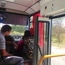 こんな大型タイプもある。61番