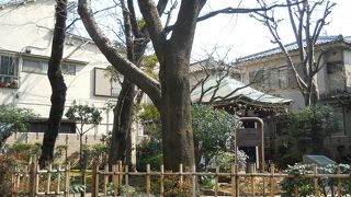 公園の中に御堂があります