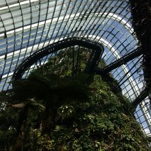 クラウド・ウォーク