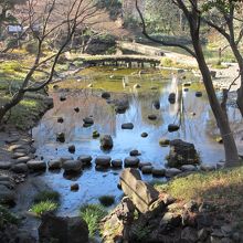 橋の上からの眺め