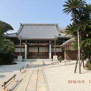 蘇鉄のお寺