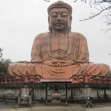 かなり大きくて立派です。