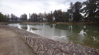 見る角度によって表情が変わるような気がしました。