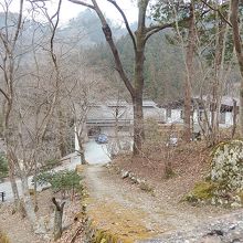 林の中にある谷津川館の全貌