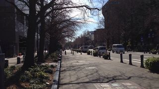 確かに大通りです