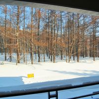 部屋のバルコニーからの景色。下はスキーゲレンデ。