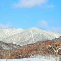 部屋のバルコニーからの景色