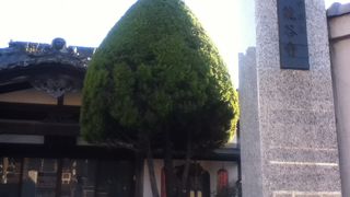 千駄木駅東側の日蓮宗のお寺