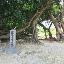 沖縄陸軍病院山城本部壕跡の碑。
