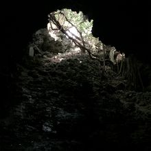 沖縄陸軍病院山城本部壕跡、壕内部から見た外の様子。