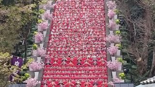 訪れるならば「かつうらビッグひな祭り」のときが最高だと思う