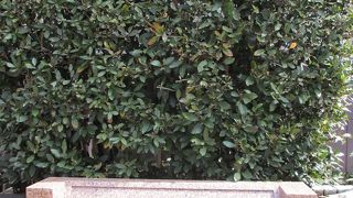 学士会館の入口にあります