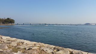 無料開放されました。