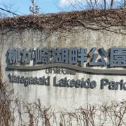 琵琶湖に隣接している公園です。