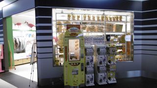 モダン ペット ストア