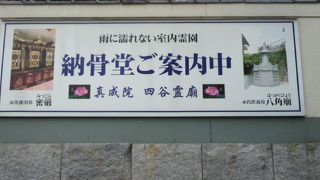 四谷の真成院は、四谷の寺町の一角にある真言宗のお寺です。