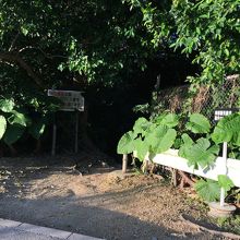 糸数アブチラガマ、出口。