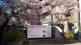 日頃の行いが良いのか？