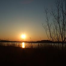 駐車場から見た夕日