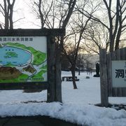 支笏洞爺国立公園