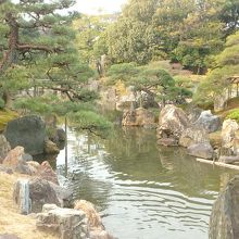 水鳥が時々潜りながら泳いでいた