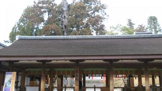 春日大社本社本殿