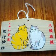 仙巌園の中にある猫ちゃんの神社