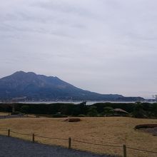 桜島。今日は噴火してませんでした。