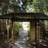 中庭から青野川に出られます