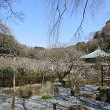 美しく整備された庭園