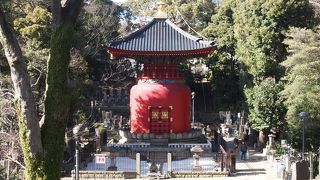 赤色がひときわ目立っています