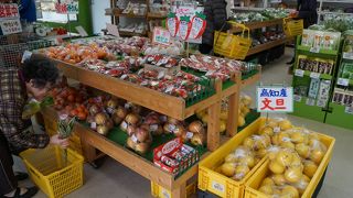 大栄と言えばスイカ