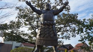 郷土の誇りとして愛された横綱の雄姿