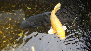 白壁土蔵群の観光のスタート地点と言った場所