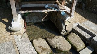 水量はそこそこあるのですが